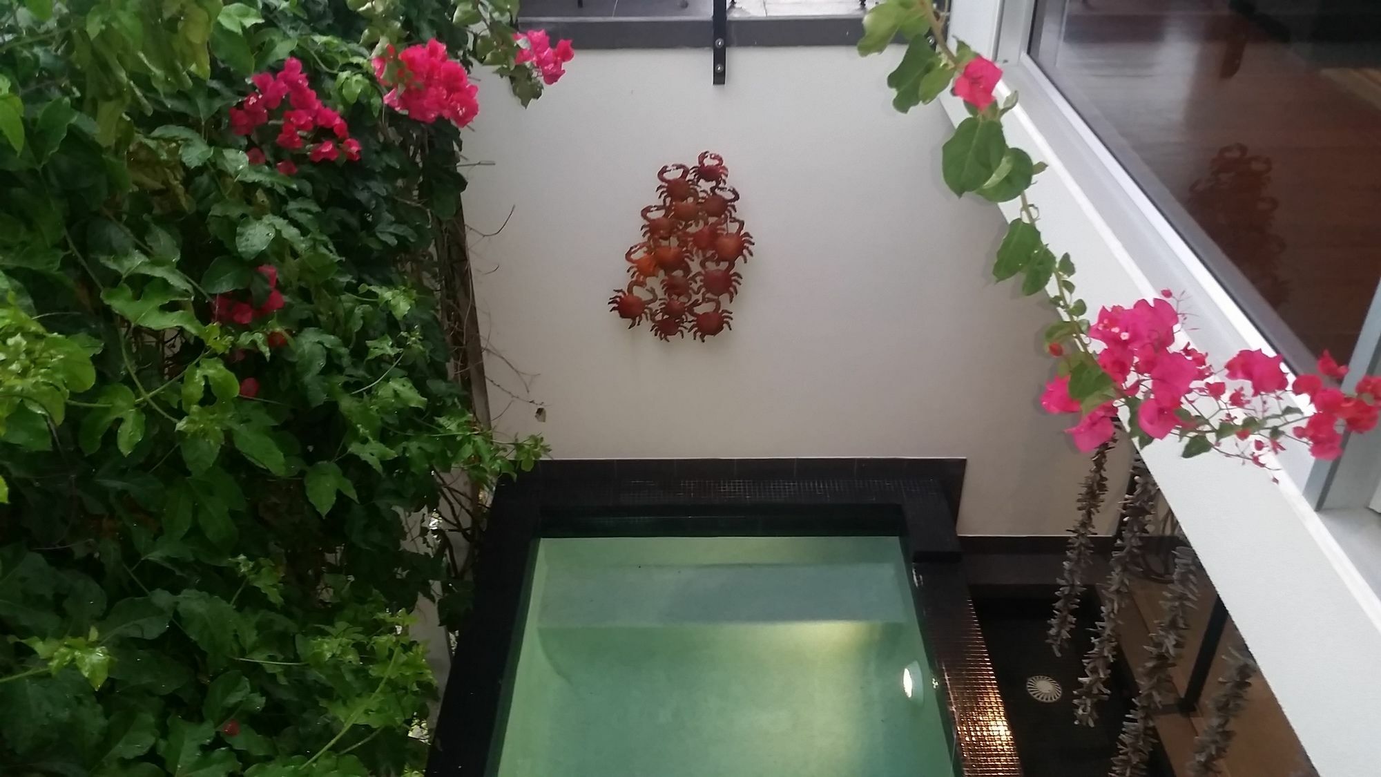 日出海湾度假公寓式酒店 金斯克里福 外观 照片